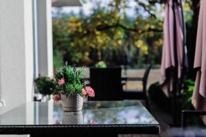 um vaso com flores cor-de-rosa sentado numa mesa de vidro em Kalinowy Sen em Varósvia