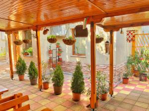 un patio con un montón de macetas en Tatyana Guest House, en Byala