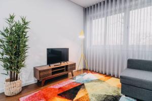 TV a/nebo společenská místnost v ubytování Lechartier Oporto apartments 4