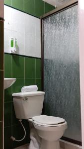 baño con aseo y pared verde en apartamento tejares de Salento, en Salento