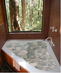 
a bath room with a tub and a window at Springbrook Mountain Chalets in Springbrook
