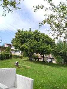 a white couch sitting in a green field with trees at B&B Francesca in Zagarise