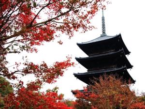 Gallery image of カモンイン 比永城町 in Kyoto