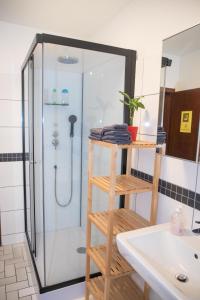 a bathroom with a shower and a white sink at Park City Center in Luxembourg