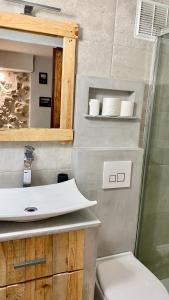 La salle de bains est pourvue d'un lavabo, d'une douche et de toilettes. dans l'établissement Charmant studio vieil Antibes, à Antibes