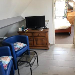 a living room with a tv and two chairs at De Zolder in Meterik