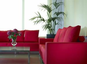 A seating area at Ionian Theoxenia