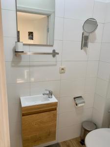 een badkamer met een wastafel, een spiegel en een toilet bij Charming Europarlament Resedence in Brussel