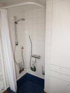 a bathroom with a shower with two snakes in it at BC bed en comfort in Bilzen