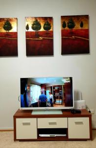 TV a/nebo společenská místnost v ubytování Apartments N & P