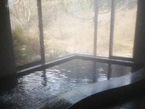 a window with a view of a pool of water at Annex Turtle Hotori-An in Nikko