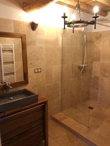 Saint-Apollinaire-de-RiasにあるLa bergerieのバスルーム(シャワー、洗面台、鏡付)