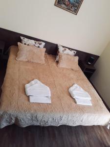 Voodi või voodid majutusasutuse Hotel Giorgi toas