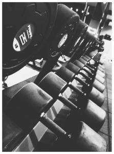 a row of dumbbells in a gym at Zajazd Bog-Mar in Rymanów
