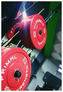 a row of red dumbbells in a gym at Zajazd Bog-Mar in Rymanów