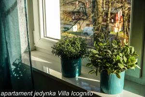 Fotografia z galérie ubytovania Apartament Jedynka Villa Incognito v destinácii Szklarska Poręba