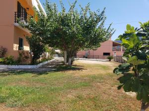 Zahrada ubytování NAFSIKA Apartments