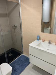 a bathroom with a shower and a sink and a toilet at Apartamento estacion de esqui la pinilla in La Pinilla