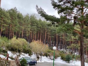 a car parked in a parking lot next to a forest at Apartamento estacion de esqui la pinilla in La Pinilla