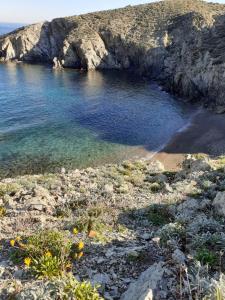 a beach with a body of water and rocks at Studio cabine Thalacap Vue mer in Banyuls-sur-Mer