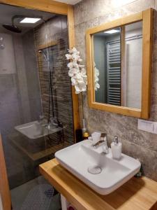 a bathroom with a sink and a mirror and a shower at Planinska Koliba Exclusive in Sekulić 