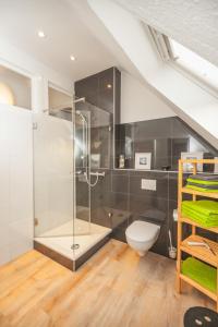 ein Bad mit einer Dusche und einem WC in der Unterkunft Apartmenthaus Lorbach in Solingen