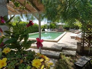 a garden with a swimming pool and some flowers at Masseria Sucéa in Martano