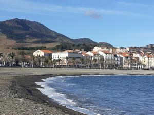 a view of a beach with houses and the ocean at Studio cabine Thalacap Vue mer in Banyuls-sur-Mer