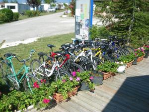 un montón de bicicletas estacionadas al lado de algunas plantas y flores en Camping du Pontis, en Verteillac