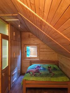 1 dormitorio con 1 cama en una cabaña de madera en Tanjuška en Žabljak
