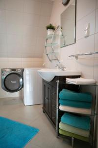 ein Badezimmer mit einem Waschbecken und einer Waschmaschine in der Unterkunft Apartamenty Skaldowie in Zakopane