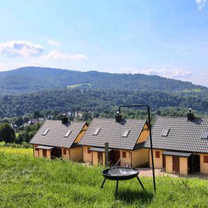 einen Blick auf eine Reihe von Häusern mit Dächern in der Unterkunft Osada Bóbrka nad Soliną in Solina