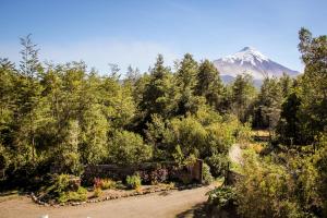 a mountain in the distance with trees and a dirt road at Hamilton's Place Bed and Breakfast in La Ensenada