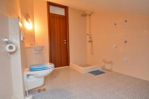 a bathroom with a toilet and a shower at Villa Sofia in Kotor