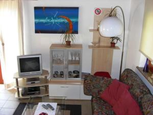uma sala de estar com um sofá e uma televisão em Agriturismo Cantina Carrara em Gordola