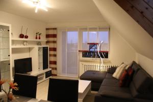 ein Wohnzimmer mit einem Sofa und einem TV in der Unterkunft Ferienwohnung im Harz in Wienrode
