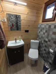 Ванная комната в Ostoja Rodzinna