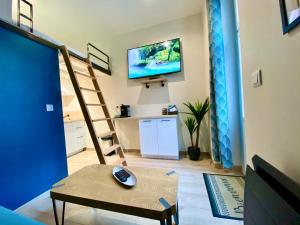uma sala de estar com uma escada e uma televisão em Tiny Stud em Pau