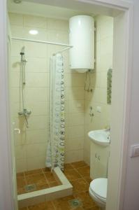 ein Bad mit einer Dusche, einem WC und einem Waschbecken in der Unterkunft Radoš - Nova gradnja - Stan na dan in Gornji Milanovac