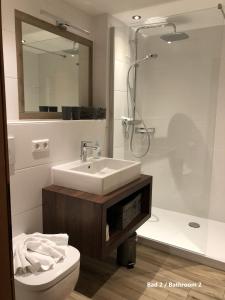 a bathroom with a sink and a toilet and a mirror at Ferienwohnung Winklblick in Reit im Winkl