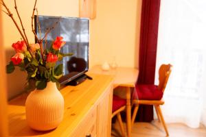 TV a/nebo společenská místnost v ubytování Apartments Marie B