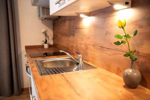 Kuchyň nebo kuchyňský kout v ubytování Apartments Marie B