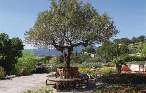 a tree sitting on a bench under a tree at Beautiful Home In Pierrerue in Pierrerue