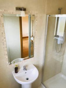 een badkamer met een wastafel en een douche met een spiegel bij Oak Trees Corner stylish , relaxing , getaway in Wicklow
