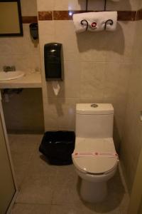 a bathroom with a white toilet and a sink at Hotel La Alhondiga in Puebla