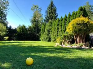 ein gelber Ball auf dem Rasen im Hof in der Unterkunft Willa Brzozówka in Milówka