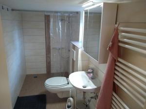 a bathroom with a toilet and a sink and a shower at Ferienwohnung Schleich in Starkenberg +9 photos