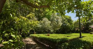 un jardín con árboles y césped y un camino en Villa Puccini en Ciudad del Cabo
