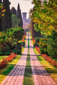 A garden outside La casetta in collina