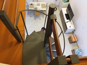 een hond loopt de trap af in een kamer bij Lofyt em Paraty in Paraty